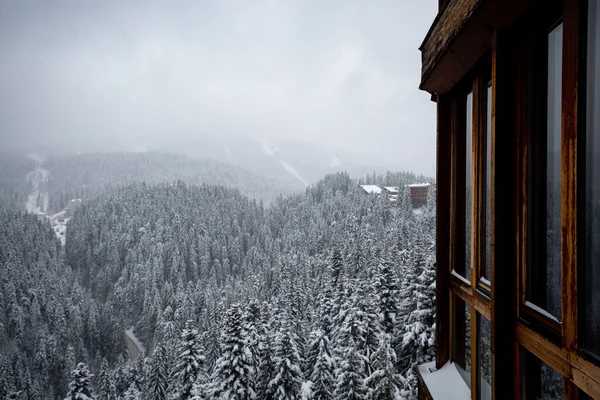 Ett Vackert Vinterlandskap Med Snötäckta Träd Och Byggnader — Stockfoto