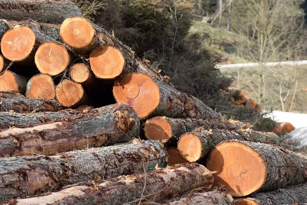 Selective Focus Shot Stacked Wood Logs — Stock Photo, Image