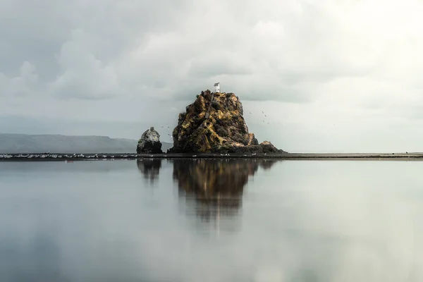 Whatipu Sahili Nde Güzel Issız Bir Uçurum Tepesinde Beyaz Bir — Stok fotoğraf