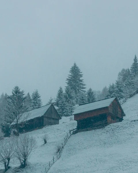 Tiro Vertical Uma Colina Nevada Com Árvores Cabanas Tempo Nebuloso — Fotografia de Stock