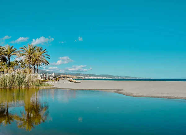 Piękne Krajobrazy Palm Odbite Czystej Niebieskiej Wodzie Hiszpanii — Zdjęcie stockowe