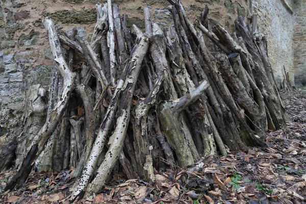 Eski Kurumuş Ağaç Dallarının Yakınındaki Yıpranmış Taş Duvarın Yanında — Stok fotoğraf