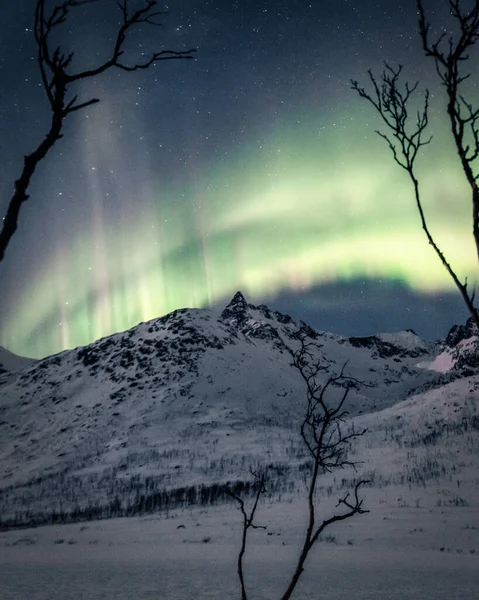 Uno Scatto Verticale Paesaggio Invernale Notturno Con Aurora Boreale — Foto Stock