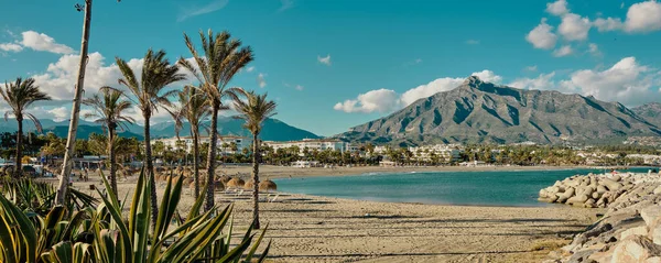 Plano Panorámico Palmeras Orilla Con Fondo Montañoso España — Foto de Stock