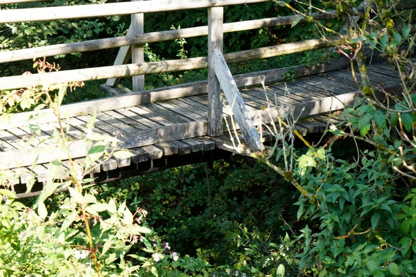 Primer Plano Puente Madera Bosque —  Fotos de Stock