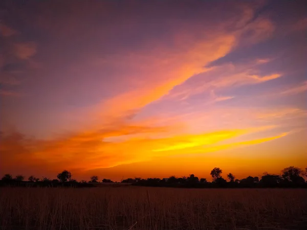 Ett Fält Den Vackra Gula Och Rosa Solnedgången Himlen — Stockfoto