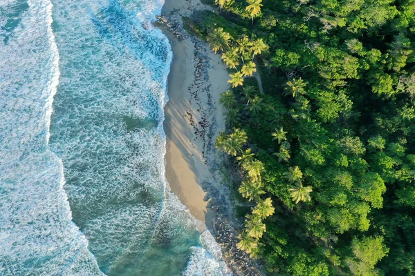 Воздушный Снимок Скал Покрытых Зеленью Окруженный Морем Солнечным Светом — стоковое фото