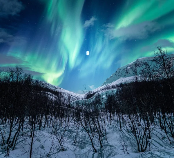 Vertikální Záběr Noční Zimní Krajiny Aurora Borealis Měsíc — Stock fotografie