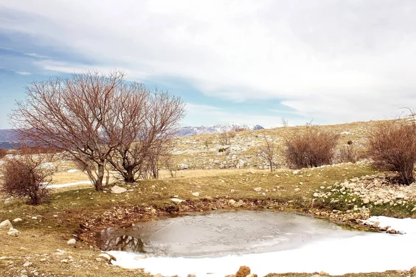 Piękny Strzał Śnieżnego Jeziora Suchej Łące — Zdjęcie stockowe