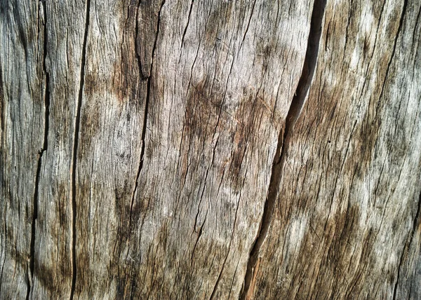 Closeup Shot Old Cracked Wooden Piece Perfect Background — Stock Photo, Image