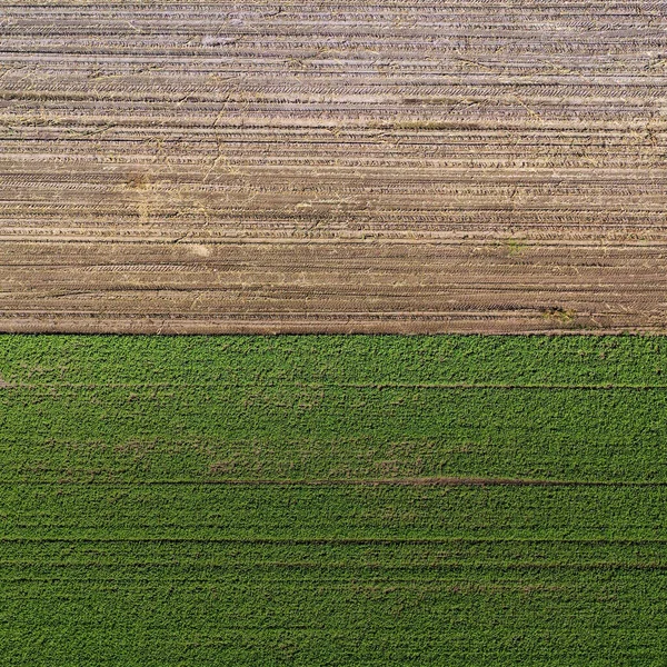 Yeşil Bir Tarlanın Kahverengi Bir Tarlanın Havadan Görüntüsü — Stok fotoğraf