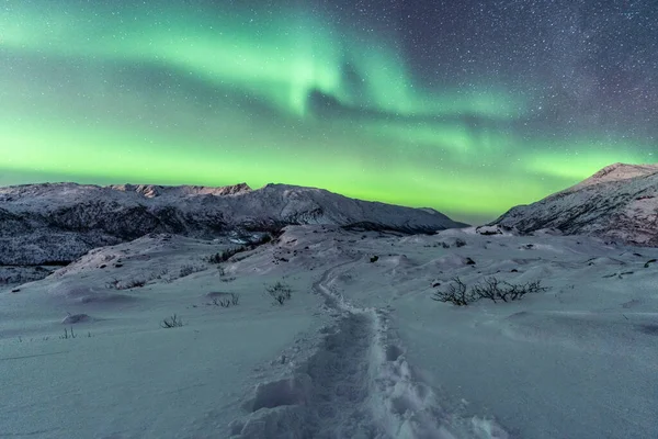 Una Splendida Vista Paesaggio Invernale Notturno Con Aurora Boreale — Foto Stock