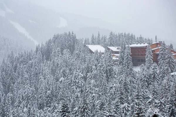 Hermoso Paisaje Invernal Con Árboles Edificios Cubiertos Nieve — Foto de Stock