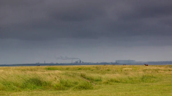 Primer Plano Campo Bajo Cielo Nublado Tormentoso —  Fotos de Stock