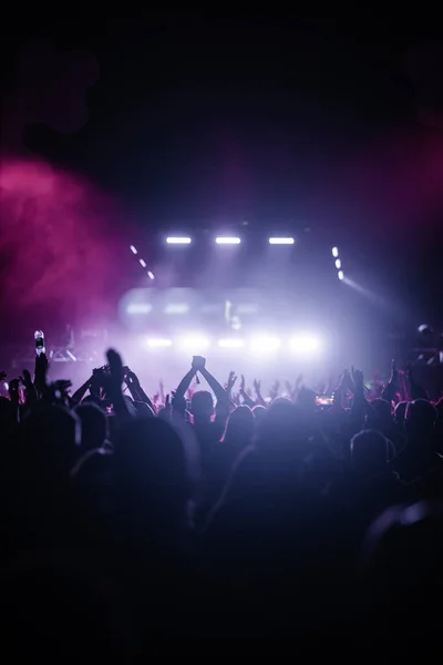 一个欢呼的人群高举双手在一个明亮的舞台前跳舞的垂直镜头 — 图库照片