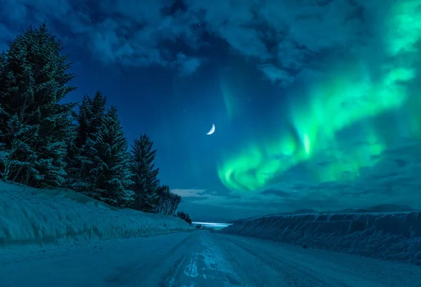 Вертикальний Постріл Нічного Зимового Шляху Місяцем Північним Світлом Aurora Borealis — стокове фото