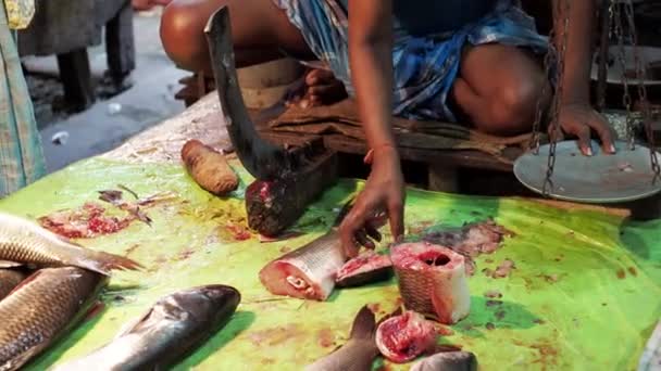 Mercado Local Pescado Vendiendo Peces Venta Pescado Catla Carpa Una — Vídeo de stock