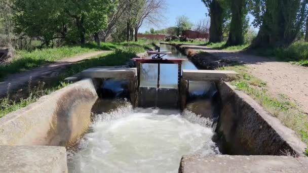 Agua Que Fluye Del Río Parque — Vídeos de Stock