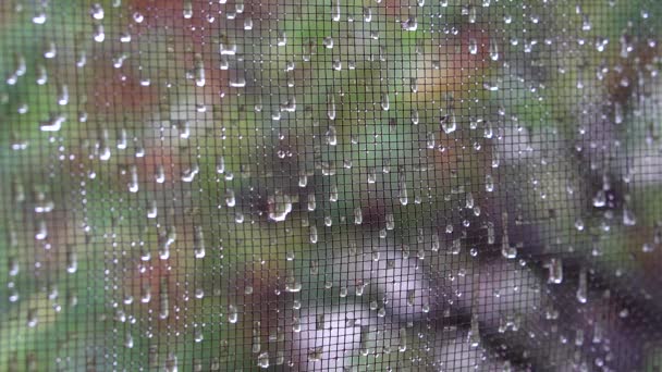 雨滴在玻璃上 抽象背景 — 图库视频影像