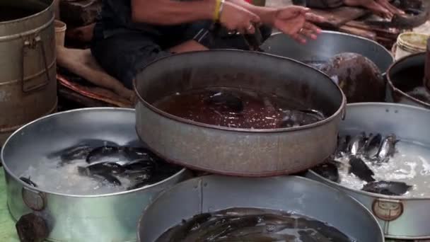 Personnes Inconnues Vendant Poisson Marché Rue Décembre 2021 Dans Région — Video