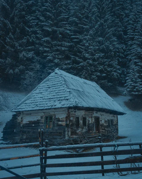 雪に覆われた背の高い木 暗い暗い天候で 道路の側面に木製の小屋の垂直ショット — ストック写真