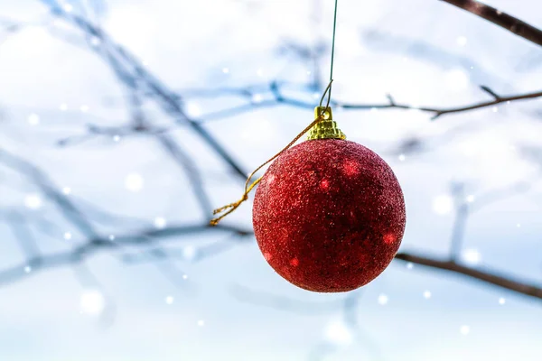 雪の中木の小枝に吊るされた赤いクリスマスボール — ストック写真