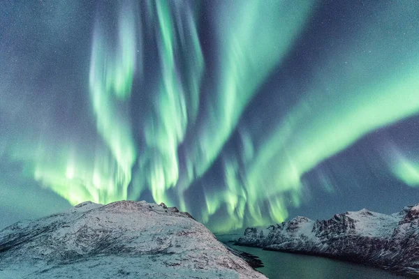 Eine Vertikale Aufnahme Eines Nächtlichen Winterfelsens Mit Reflexion Des Nordlichts — Stockfoto