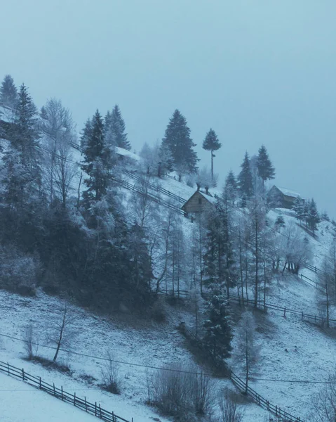 Pionowe Ujęcie Śnieżnego Wzgórza Drzewami Domkami Mglistą Pogodę — Zdjęcie stockowe