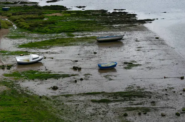 美丽的苔藓海岸 有靠岸的帆船 — 图库照片