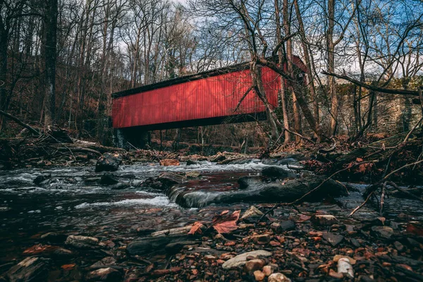 Beau Plan Lac Coulant Dans Une Forêt — Photo