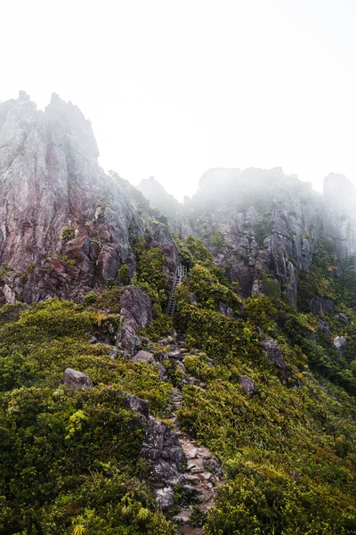 Eine Vertikale Aufnahme Eines Bemoosten Felsberges Und Des Mit Weißem — Stockfoto