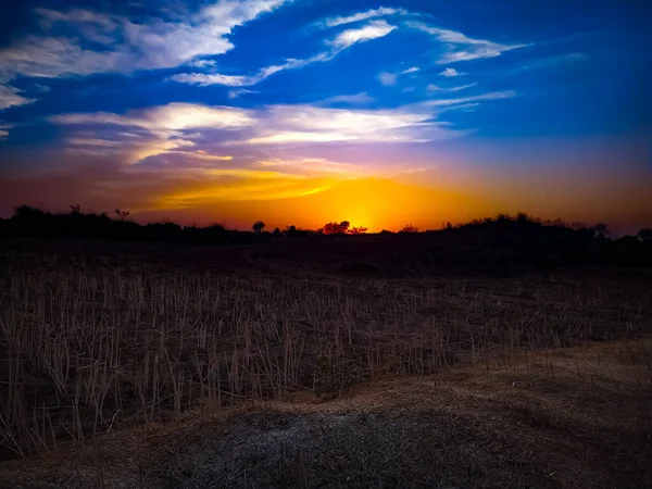 Campo Sob Lindo Céu Amarelo Azul Pôr Sol — Fotografia de Stock