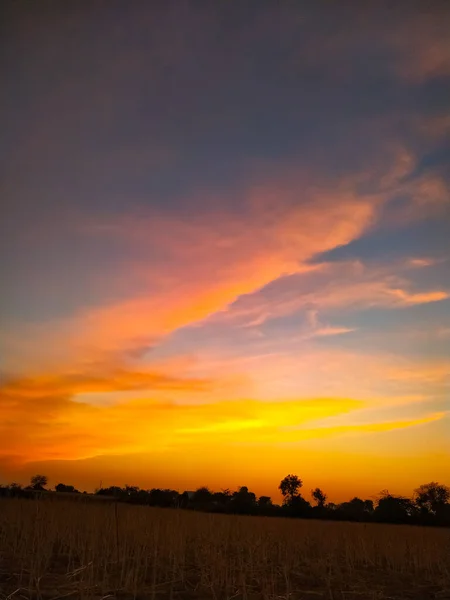 Tiro Vertical Campo Sob Lindo Céu Laranja Por Sol — Fotografia de Stock