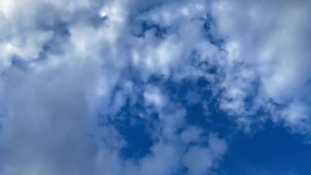 Een Beelden Van Witte Pluizige Wolken Blauwe Lucht — Stockvideo