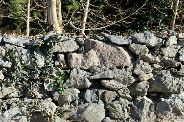 Μια Πέτρα Τοίχο Φόντο Στο Δάσος Μια Ηλιόλουστη Μέρα — Φωτογραφία Αρχείου