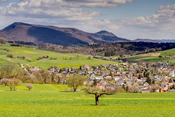 田園地帯の緑に囲まれた村の風景 — ストック写真