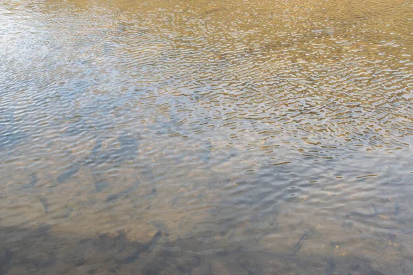 Eine Aufnahme Aus Der Vogelperspektive Vom Klaren Wasser Des Sees — Stockfoto