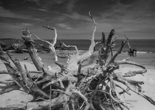 Kumsalda Sürüklenenlerin Gri Tonlu Bir Görüntüsü — Stok fotoğraf