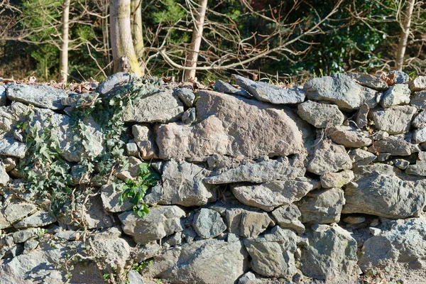 Kamenná Zeď Pozadí Lese Slunečného Dne — Stock fotografie