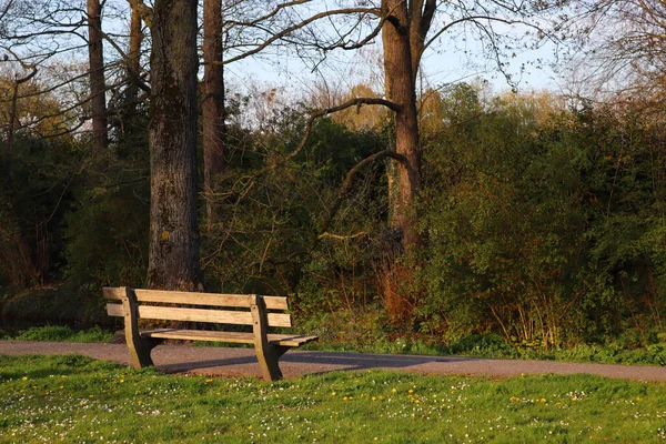 공원에서 의자를 클로즈업 — 스톡 사진