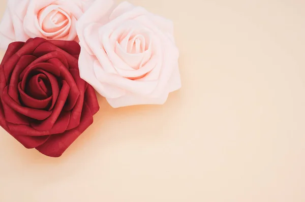 红色和粉色玫瑰的特写镜头 背景浅 有文字空间 — 图库照片
