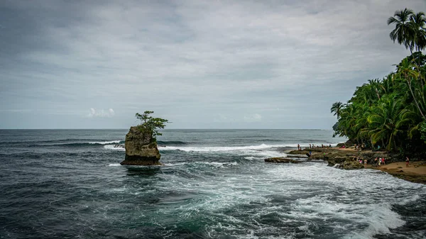 Gyönyörű Kilátás Nyílik Gandoca Manzanillo Vadvilág Menedék Costa Rica — Stock Fotó