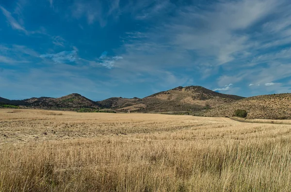 Una Vista Panoramica Delle Montagne Dell Erba Secca Durante Giorno — Foto Stock