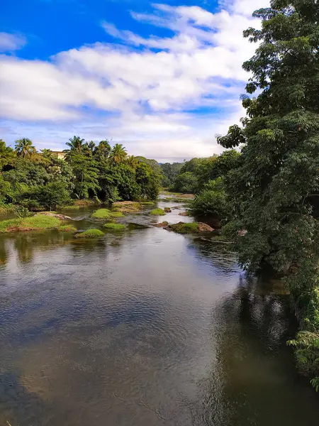 Ein Fluss Fließt Durch Die Tropischen Wälder — Stockfoto