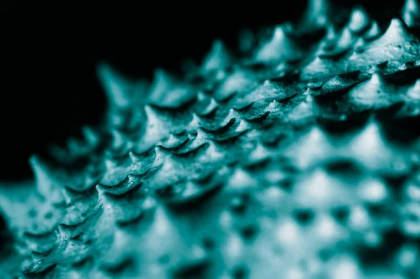 Мікроскопічне Зображення Поверхні Вірусу — стокове фото