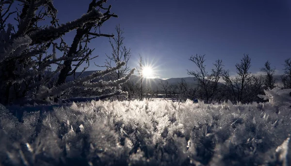 Detailní Záběr Zamrzlé Krajiny Sněhovými Krystaly Proti Slunné Obloze Pozadí — Stock fotografie