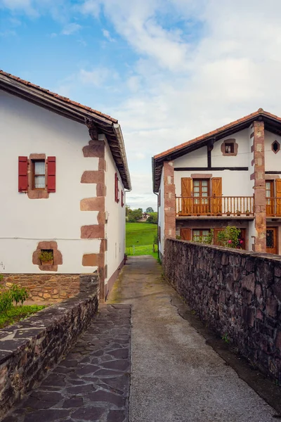 Eine Vertikale Aufnahme Von Steinhäusern Baskenland — Stockfoto