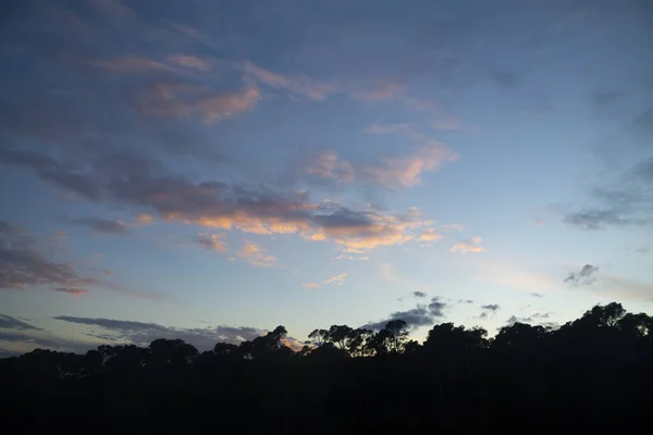 Wspaniały Zachód Słońca Błękitne Niebo Pomarańczowymi Chmurami Sylwetkami Wierzchołków Drzew — Zdjęcie stockowe