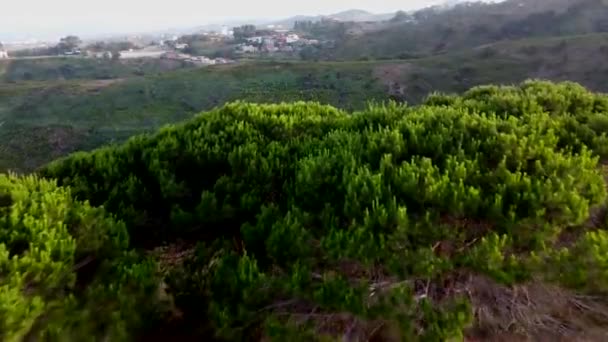 Hermosa Vista Del Bosque — Vídeo de stock