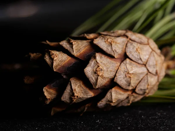 Studio Shot Pine Cone Black Background — Stock Photo, Image